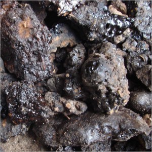 "Shilajit-1 (1)" by Chirag jindal - Own work. Licensed under CC BY-SA 3.0 via Commons - https://commons.wikimedia.org/wiki/File:Shilajit-1_(1).jpg#/media/File:Shilajit-1_(1).jpg